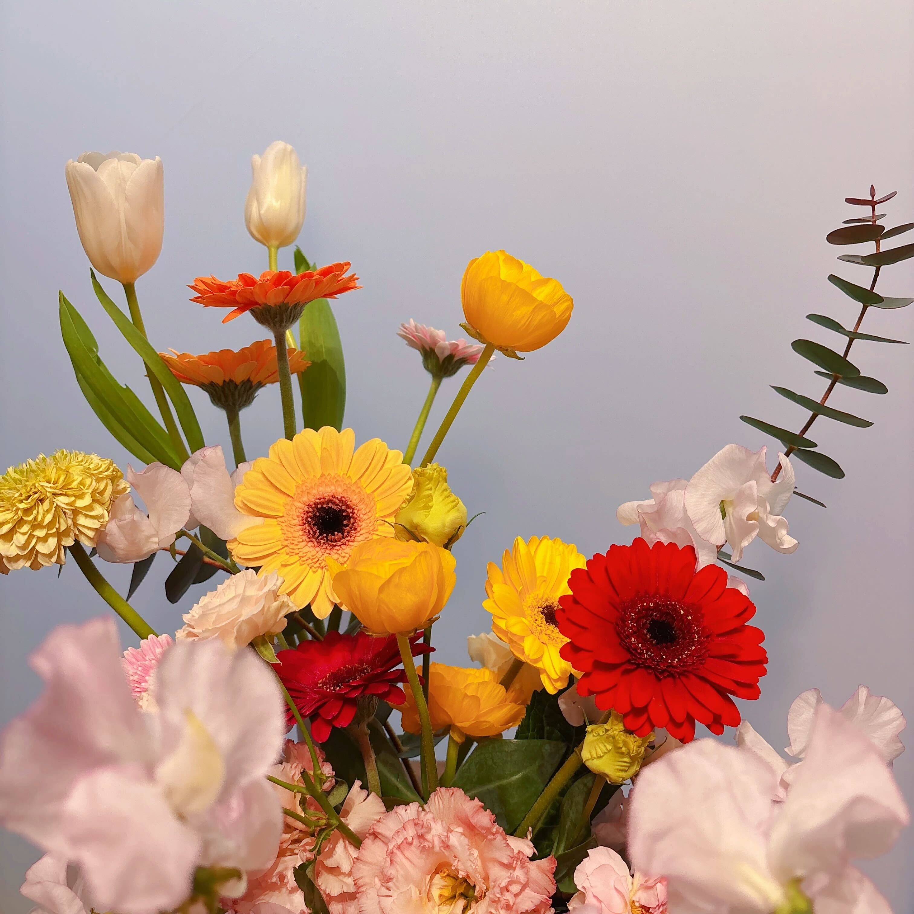 about – kaleidoscope -万華鏡-